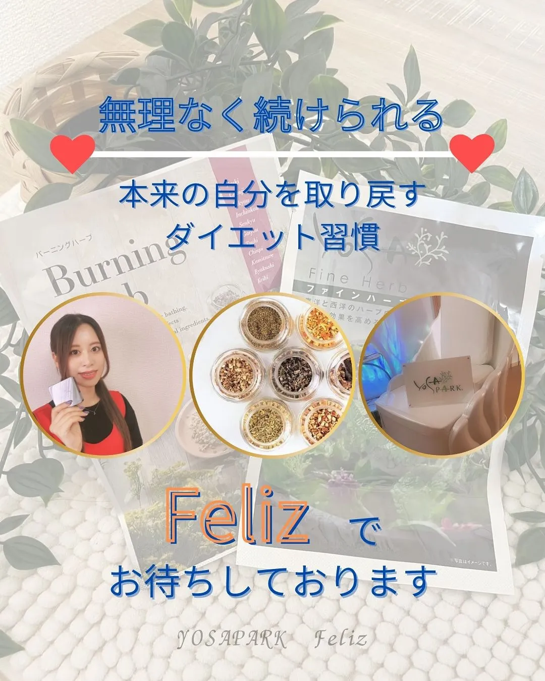 【松橋/ダイエット】