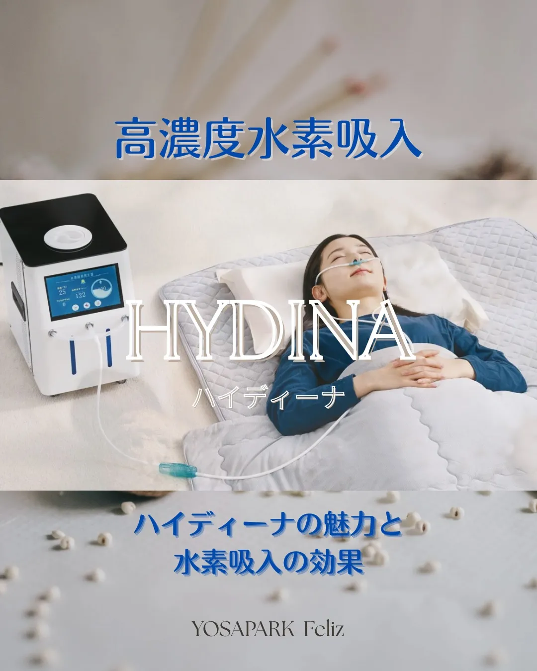 【ハイディーナの魅力】