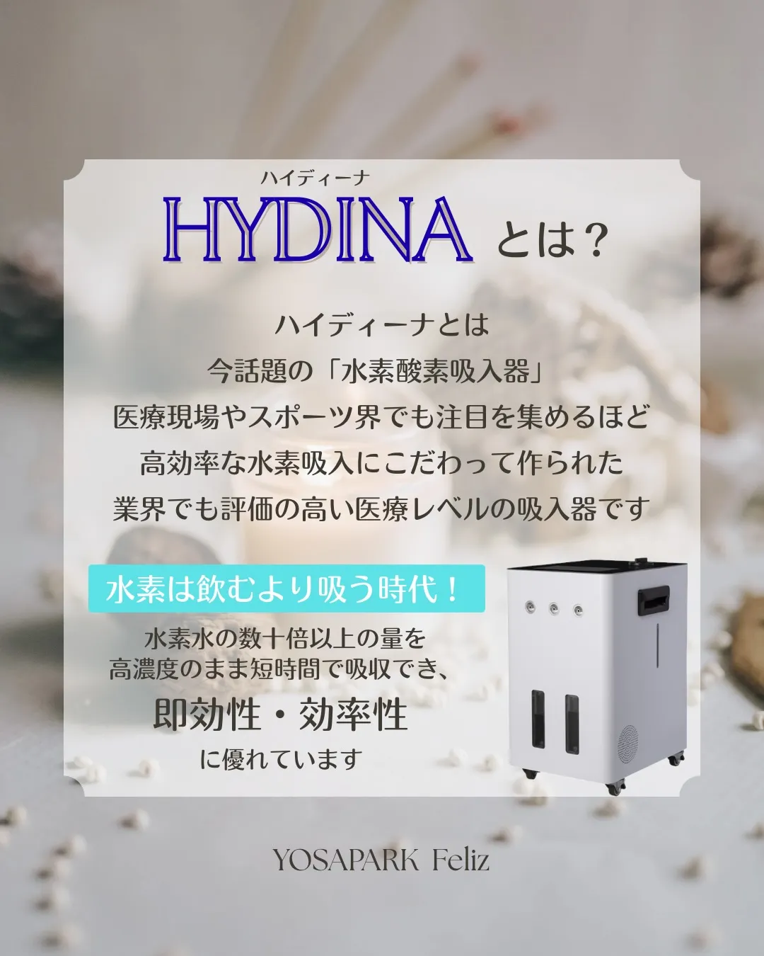 【ハイディーナの魅力】