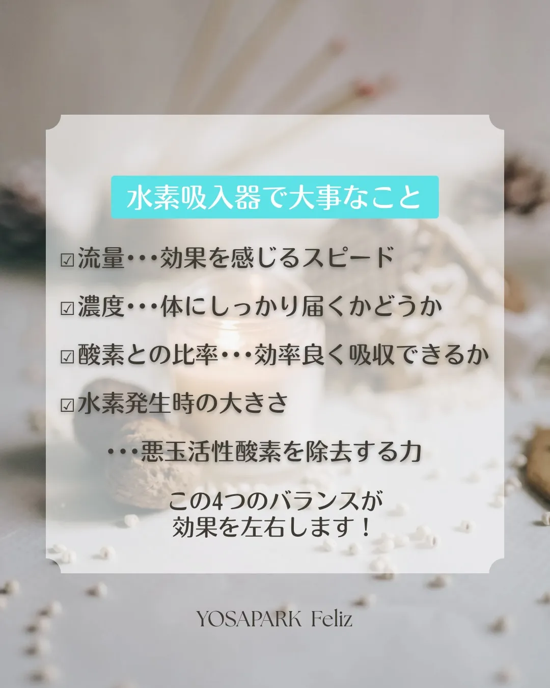 【ハイディーナの魅力】