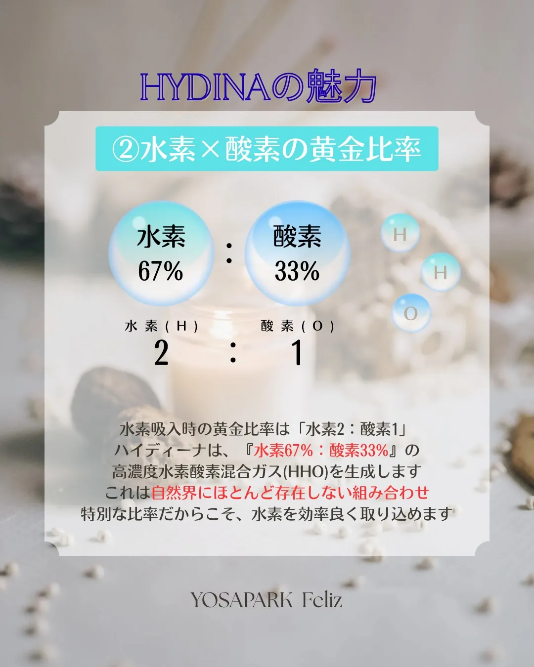 【ハイディーナの魅力】