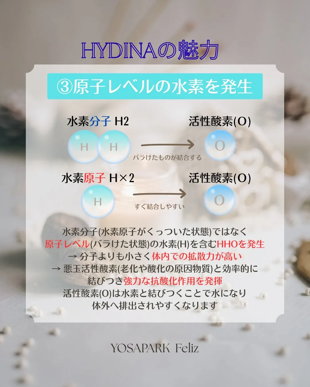 【ハイディーナの魅力】