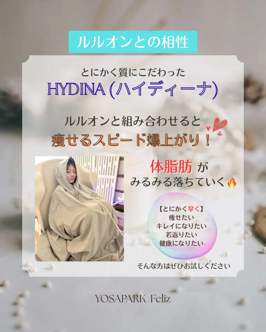 【ハイディーナの魅力】