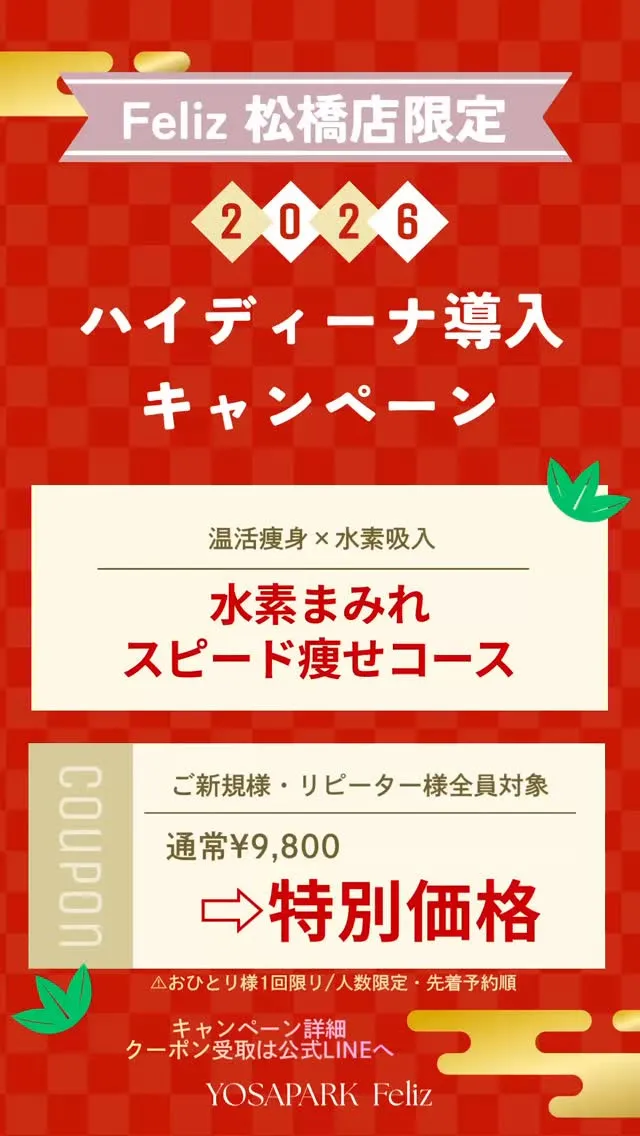 ハイディーナ導入キャンペーン🫧